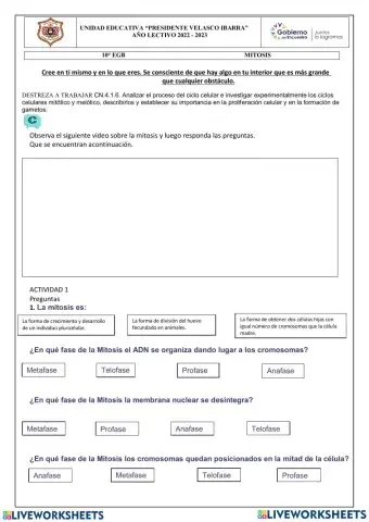 Ciclo celular Mitosis
