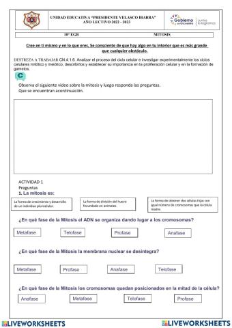 Ciclo celular Mitosis