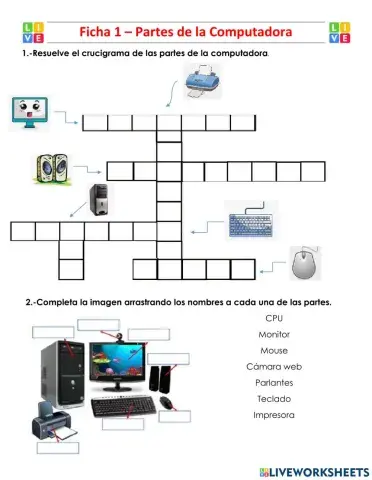 Partes de la Computadora