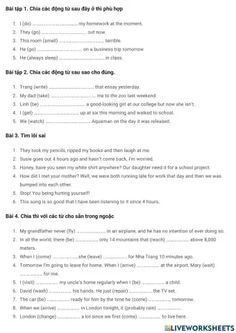 Bt chia thì tenses exercise