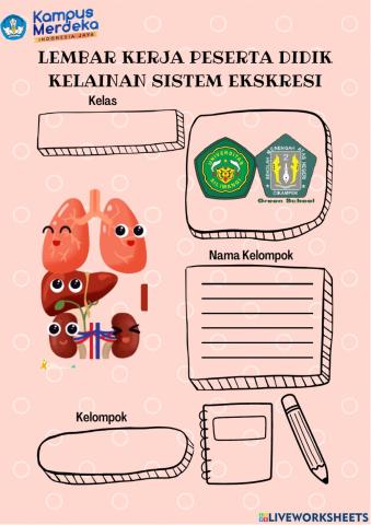Kelainan Sistem Ekskresi pada Manusia