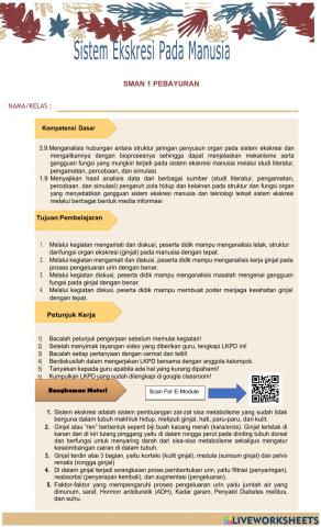 Lkpd sistem eksrekesi aktivitas 1