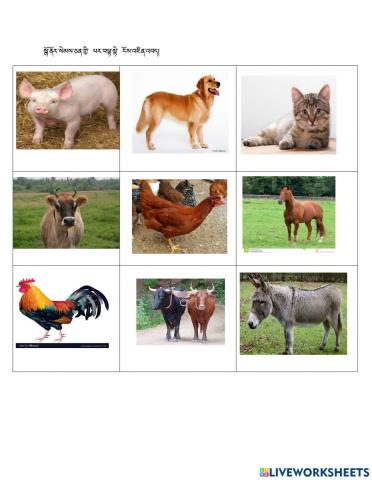 Image of animals for level 3