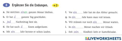 Zeitangaben D oder Akk