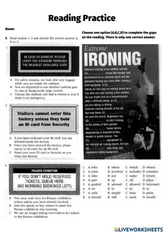 PET Reading Practice 2