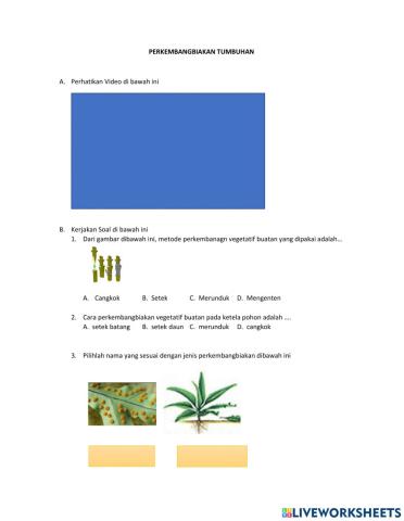 Perkembangbiakan tumbuhan
