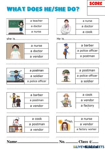 What does he-she do?