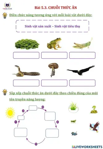 Bài 5.3. Chuỗi thức ăn