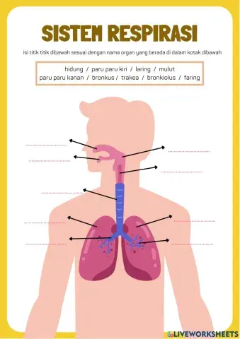 LKPD Praktikum Bahaya Rokok Pernapasan