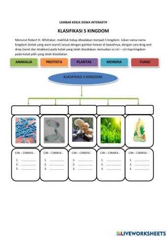 Klasifikasi 5 kingdom