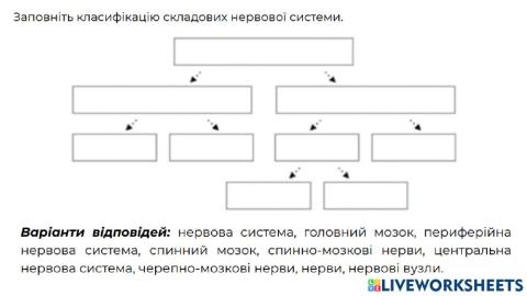 Склад нервової системи