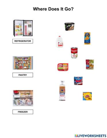 Life Skills - Sorting Groceries