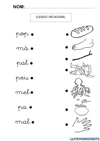 Relaciona la paraula amb la imatge