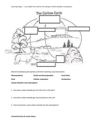 The Carbon Cycle Interactive Review