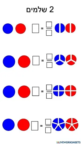 שברים ושלמים-משימה