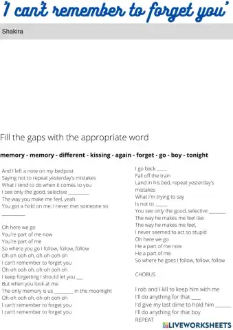 I can't remember to forget you