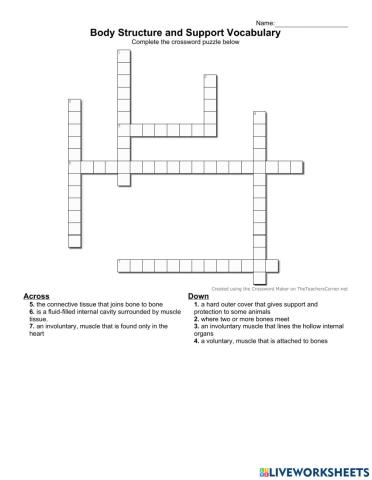 Body Structure and Support vocabulary