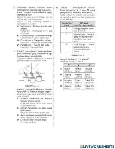 Revision Science Year 6 pg 3