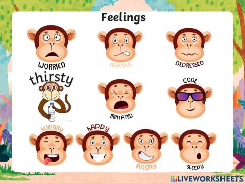 Feelings