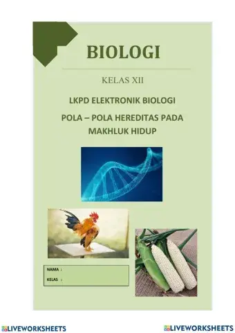 Lkpd pola-pola hereditas