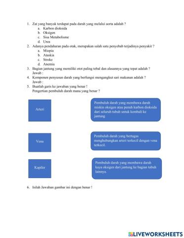 Soal Pembuluh Darah Pada Manusia