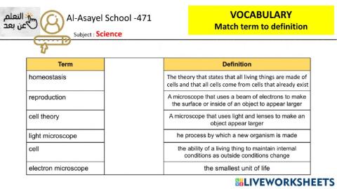 Characteristics of Life Vocabulary