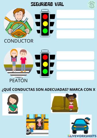 Seguridad vial