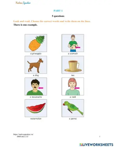 Movers - reading and writing test 1