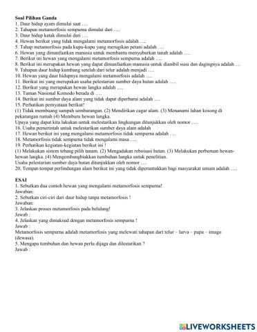 Soal kelas 4 tema 6 sub 1