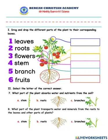 BCA 4TH M. Exam Science