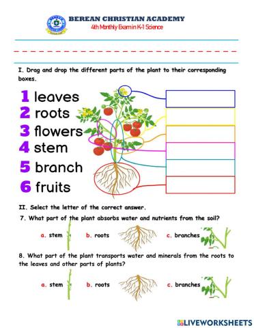 BCA 4TH M. Exam Science