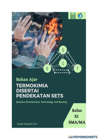 Termochem book