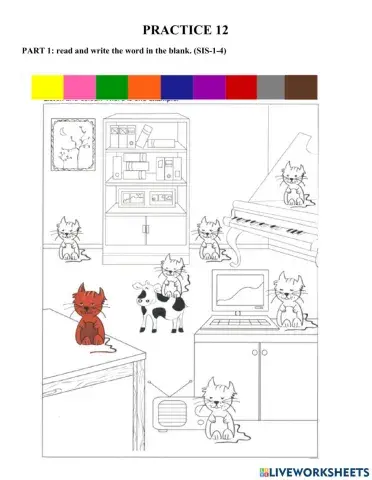 Starters-Practice 12