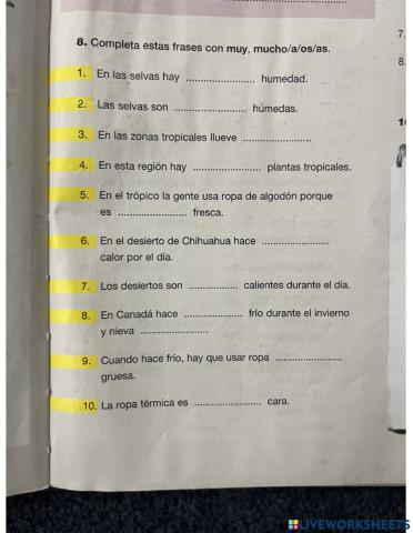 Spanish Mucho-a-as-os y Muy