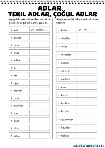 Tekil Adlar Çoğul Adlar