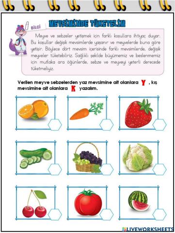 Mevsiminde Tüketelim