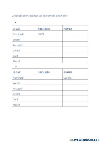 Latin - les cas de la première déclinaison