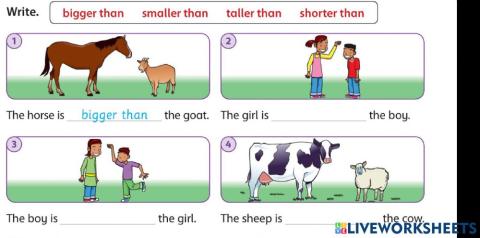 Comparative Adjectives