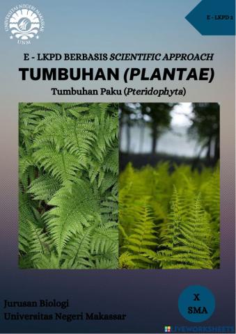 E - lkpd tumbuhan paku