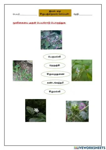 இயல் 7 சிறுபஞ்சமூலம்