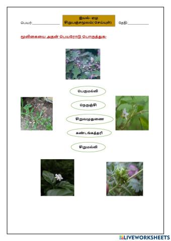 இயல் 7 சிறுபஞ்சமூலம்