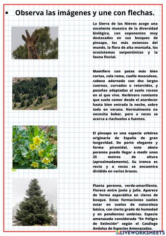 Sierra de las Nieves