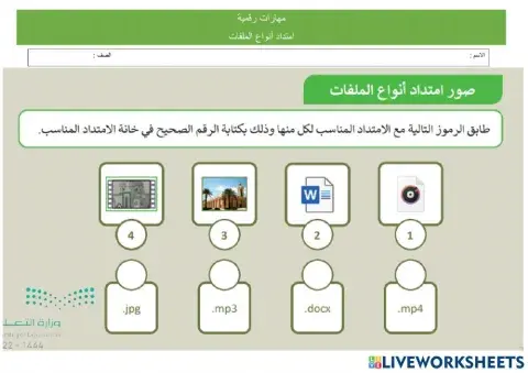 امتداد أنواع الملفات