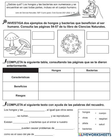 Los hongos y las bacterias