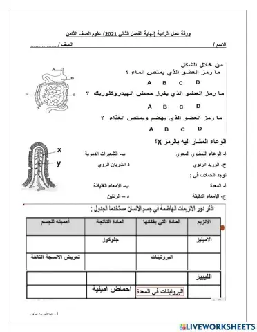 الهضم - الامتصاص - الانزيمات