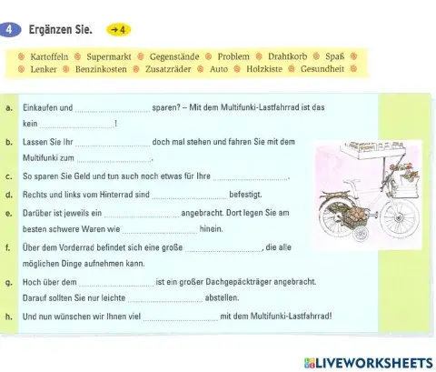 Lagune3 LE15 Lastfahrrad