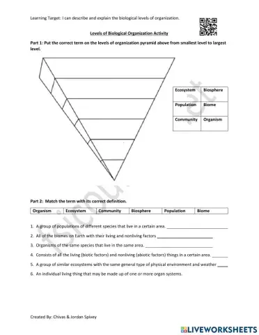 Levels of Biological Organization Interactive Activity