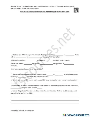Laws of Thermodynamics - Energy Transfers Video Notes