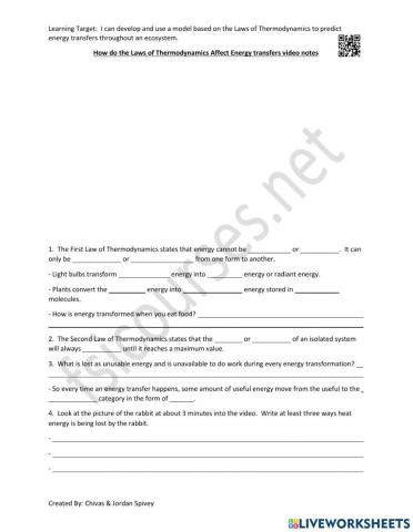 Laws of Thermodynamics - Energy Transfers Video Notes