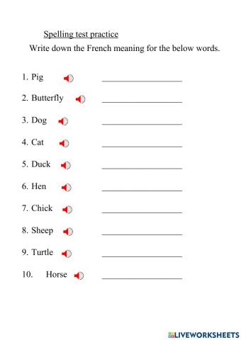 Spelling test practice Y5